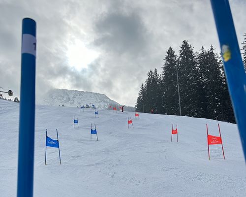 SBW Stellenausschreibungen Ski-Alpin